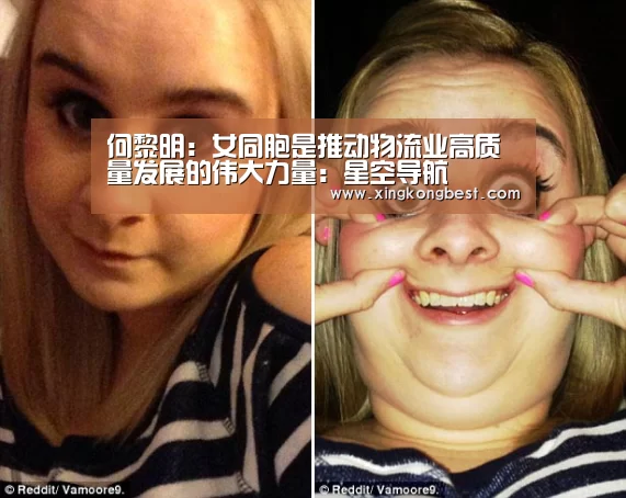 何黎明:女同胞是推动物流业高质量发展的伟大力量:星空导航(图1) 星空导航