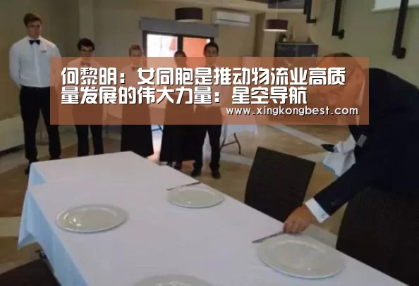 何黎明:女同胞是推动物流业高质量发展的伟大力量:星空导航(图4) 星空官网